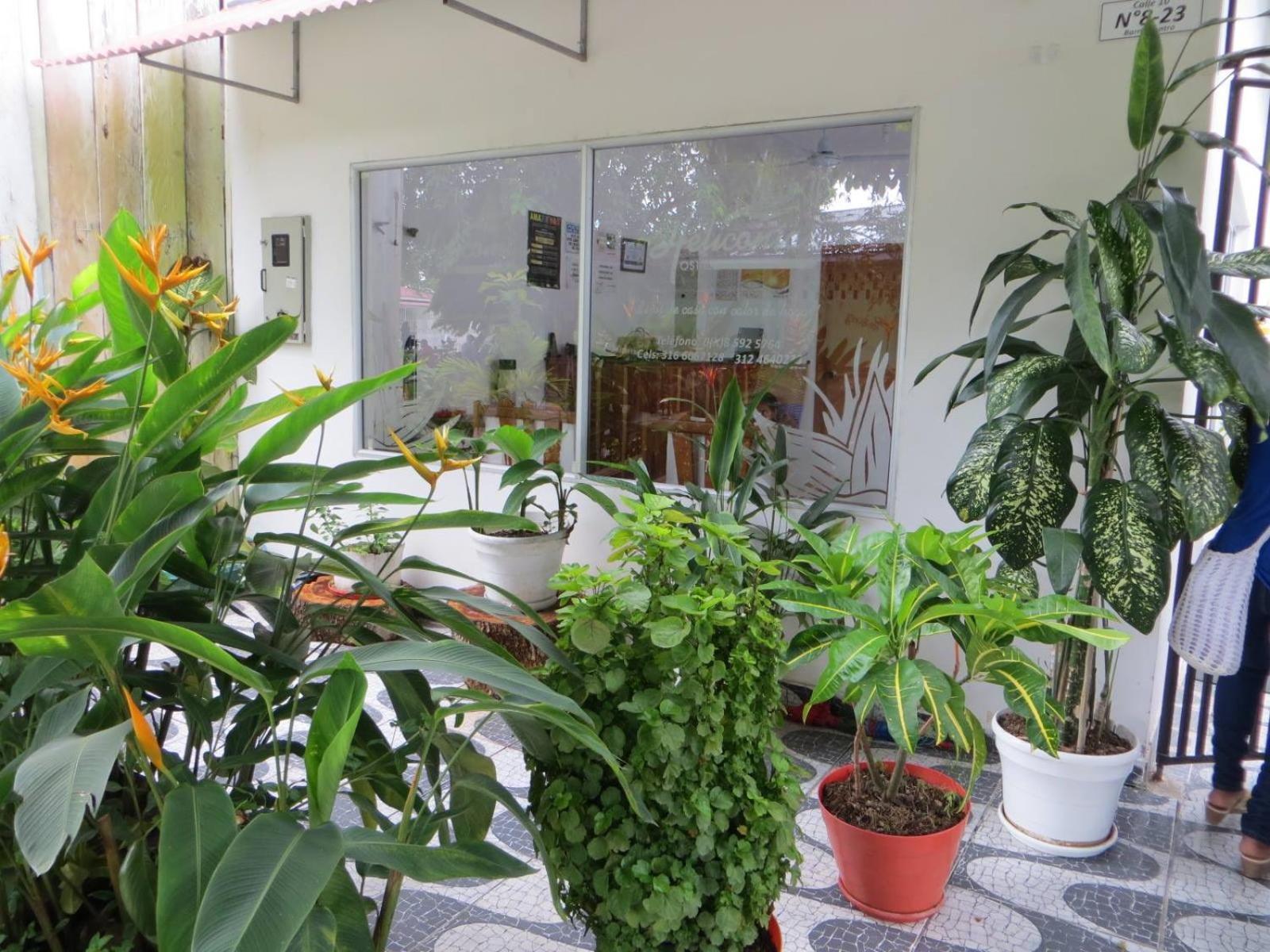 Hotel Heliconias Leticia Exterior foto